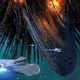 Illustration for article titled 40 Science Fiction and Fantasy Books That Will Rock Your World In 2016